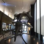 Cote Fleurie - Les Bois Lurettes Apartment *