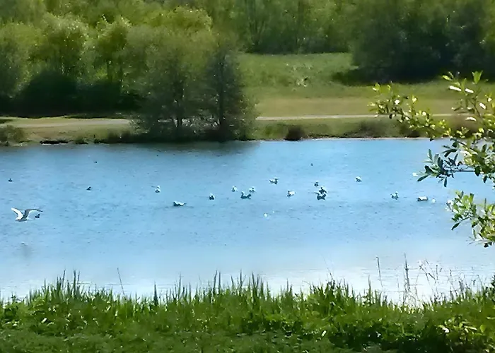 Côte Fleurie - Les Bois Lurettes