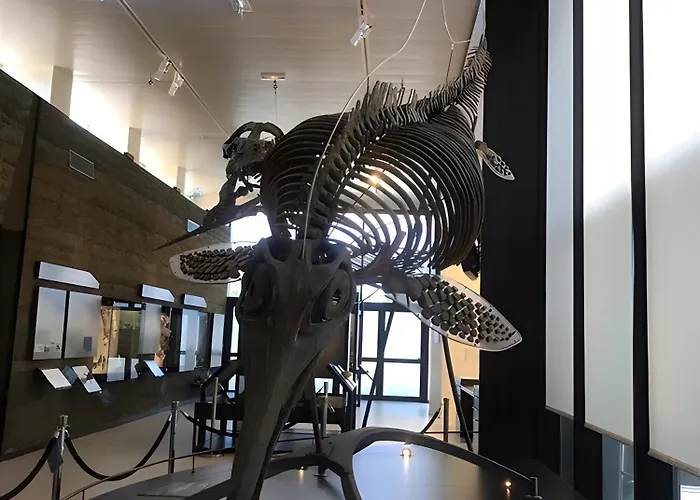 Côte Fleurie - Les Bois Lurettes Appartement *